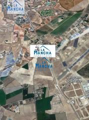 Finca rústica Carretera peñas san pedro. Inmobiliaria la mancha vende terreno en la carretera de las peña Finca rústica Carretera peñas san pedro. Inmobiliaria la mancha vende terreno en la carretera de las peña