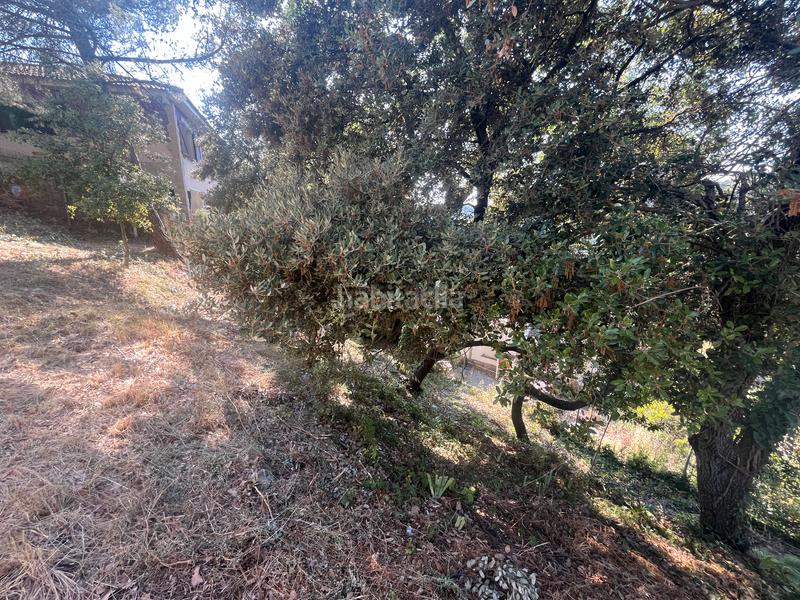 Foto f62bd787-a964-4ce6-9491-22f2ae18eacf. Wohngrundstück in del bosquet 8 in Talamanca Foto f62bd787-a964-4ce6-9491-22f2ae18eacf. Wohngrundstück in del bosquet 8 in Talamanca