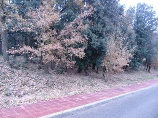 Solar urbano Montserrai. El lugar para desconectar Solar urbano Montserrai. El lugar para desconectar