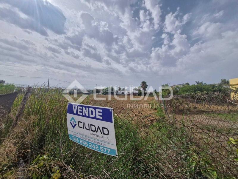 Foto 184e906a-8c90-4ec9-ae71-c9b1e5fed647. Mas dans La Jara Sanlúcar de Barrameda Foto 184e906a-8c90-4ec9-ae71-c9b1e5fed647. Mas dans La Jara Sanlúcar de Barrameda
