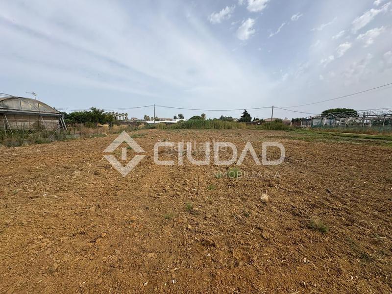 Foto 7275d726-0f73-4766-8cd5-fe4fb2b92495. Mas dans La Jara Sanlúcar de Barrameda Foto 7275d726-0f73-4766-8cd5-fe4fb2b92495. Mas dans La Jara Sanlúcar de Barrameda