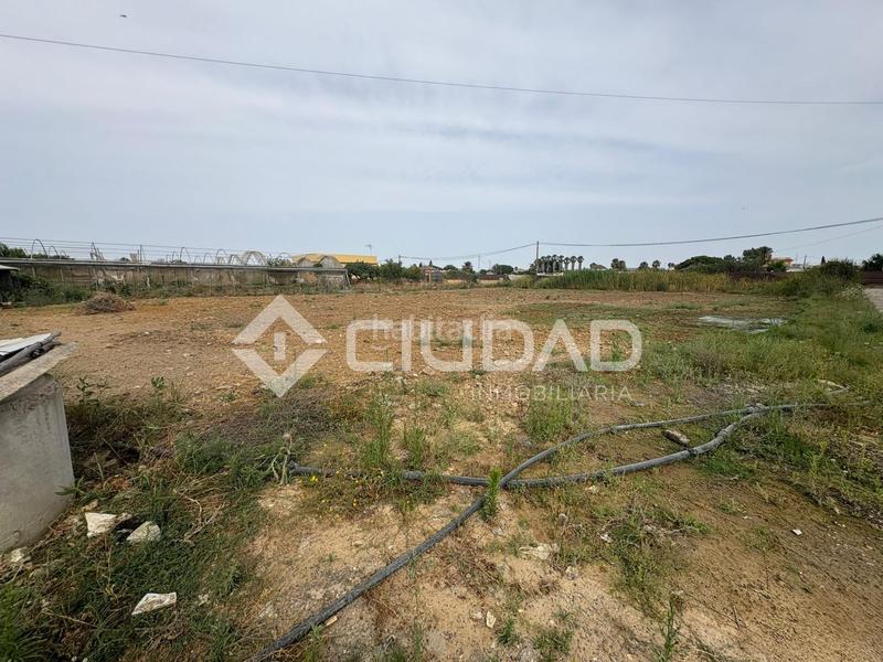 Foto 8054fdd0-8ec8-43e0-a9bf-87aed20760d9. Mas dans La Jara Sanlúcar de Barrameda Foto 8054fdd0-8ec8-43e0-a9bf-87aed20760d9. Mas dans La Jara Sanlúcar de Barrameda