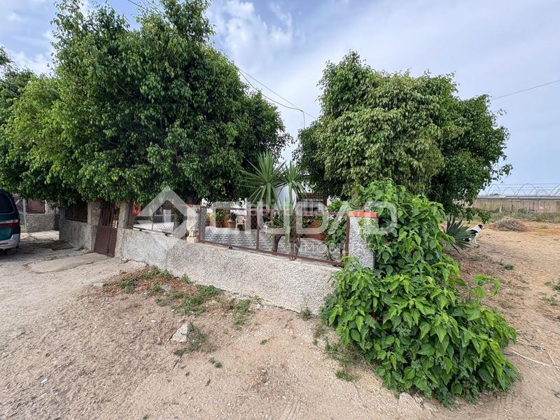 Foto 91834812-ff89-43d7-b5e5-2dca5c3ffb12. Mas dans La Jara Sanlúcar de Barrameda Foto 91834812-ff89-43d7-b5e5-2dca5c3ffb12. Mas dans La Jara Sanlúcar de Barrameda