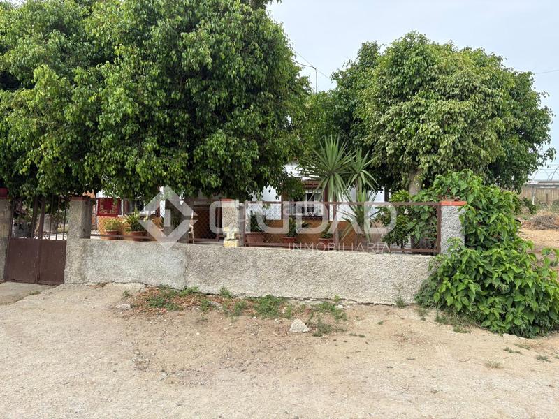 Foto a2d7351e-ba2f-4e3b-bab8-e28f15afc50e. Mas dans La Jara Sanlúcar de Barrameda Foto a2d7351e-ba2f-4e3b-bab8-e28f15afc50e. Mas dans La Jara Sanlúcar de Barrameda