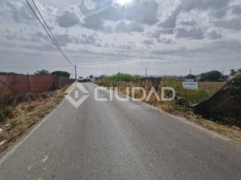 Foto a43374c3-2fd7-4a81-88de-118384dd70d2. Mas dans La Jara Sanlúcar de Barrameda Foto a43374c3-2fd7-4a81-88de-118384dd70d2. Mas dans La Jara Sanlúcar de Barrameda