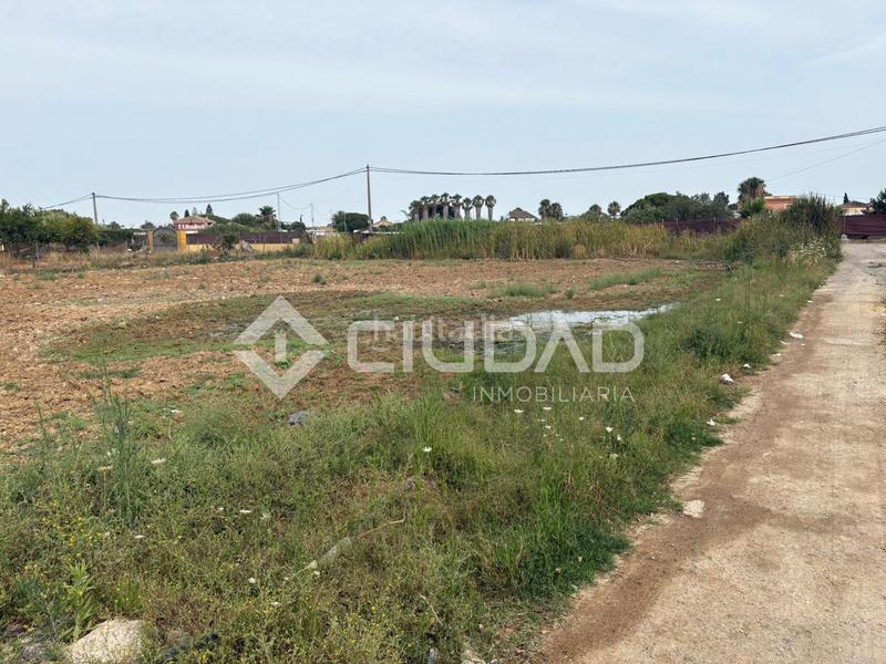Foto abcaa917-6014-4b5f-9195-13e5bb080fbd. Mas dans La Jara Sanlúcar de Barrameda Foto abcaa917-6014-4b5f-9195-13e5bb080fbd. Mas dans La Jara Sanlúcar de Barrameda