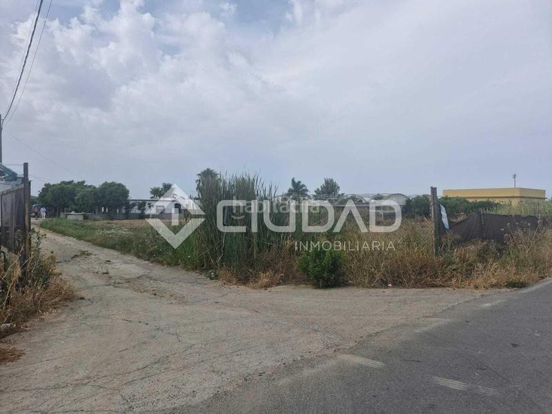 Foto b0f402f0-7a69-4848-b256-94494b609126. Mas dans La Jara Sanlúcar de Barrameda Foto b0f402f0-7a69-4848-b256-94494b609126. Mas dans La Jara Sanlúcar de Barrameda