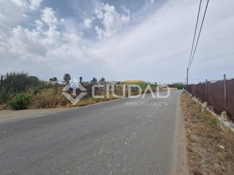 Foto fe1c224b-981c-4d60-a08b-cd62f41c7b0d. Mas dans La Jara Sanlúcar de Barrameda Foto fe1c224b-981c-4d60-a08b-cd62f41c7b0d. Mas dans La Jara Sanlúcar de Barrameda