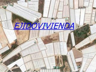 Rural plot in Ejido centro. Trozo tierra de secano Rural plot in Ejido centro. Trozo tierra de secano