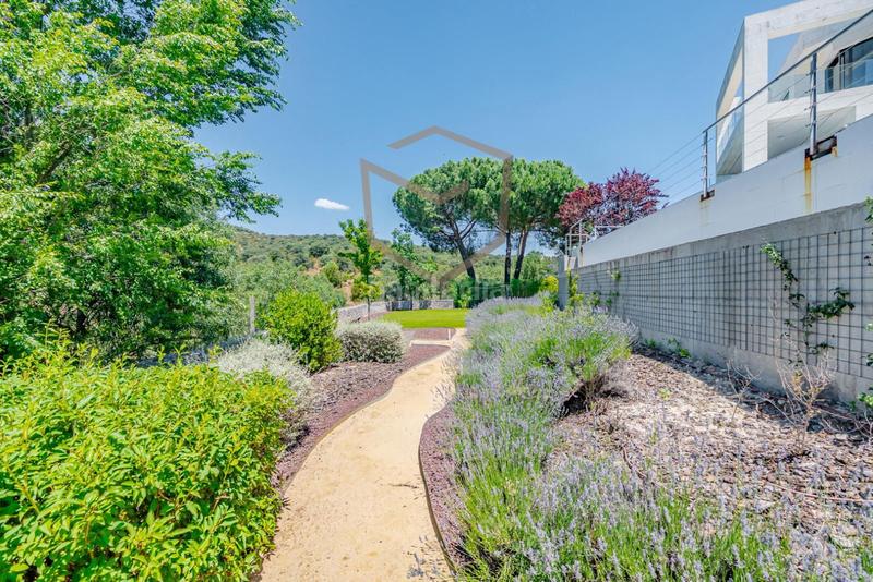 Foto 8df5c7a7-9605-4fcf-bebf-e630fac73e88. Chalet en las rozas de madrid en Molino de la Hoz Rozas de Madrid (Las) Foto 8df5c7a7-9605-4fcf-bebf-e630fac73e88. Chalet en las rozas de madrid en Molino de la Hoz Rozas de Madrid (Las)