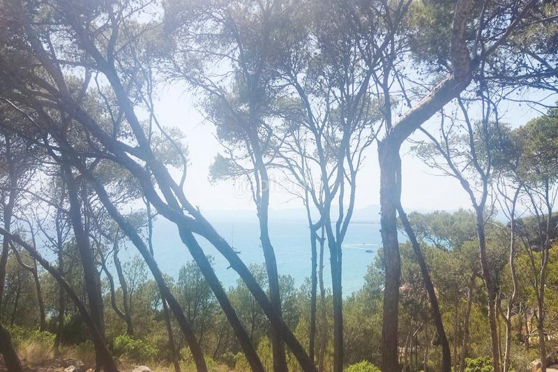 Foto c09235f7-adb4-405a-b1e5-dbfe8841b40e. Location appartement avec piscine dans Plaça Europa - Port Aventura Salou Foto c09235f7-adb4-405a-b1e5-dbfe8841b40e. Location appartement avec piscine dans Plaça Europa - Port Aventura Salou