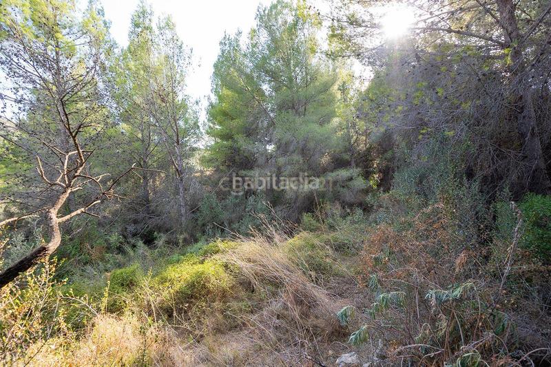 Foto 43b063cd-075e-4f12-af83-9a20f38c457a. Casa a murtes 1 a Xaló Foto 43b063cd-075e-4f12-af83-9a20f38c457a. Casa a murtes 1 a Xaló