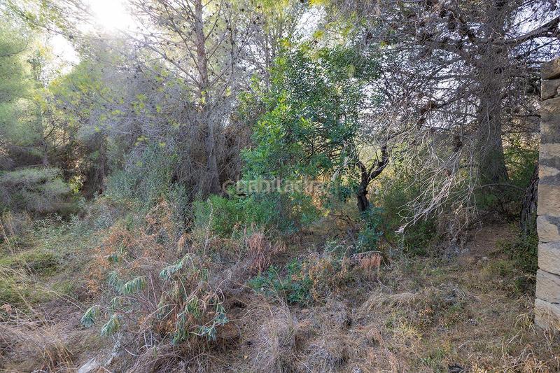 Foto 795257b7-5fe3-4a30-aa6a-aa4643833bb4. Casa a murtes 1 a Xaló Foto 795257b7-5fe3-4a30-aa6a-aa4643833bb4. Casa a murtes 1 a Xaló