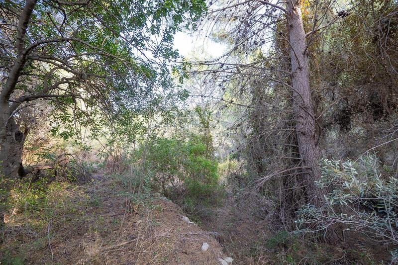 Foto a4a96cb2-f5de-43d2-9fc8-23853d047786. Casa a murtes 1 a Xaló Foto a4a96cb2-f5de-43d2-9fc8-23853d047786. Casa a murtes 1 a Xaló