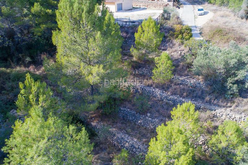 Foto b383ff7b-08d7-47f8-8c4b-ea2c498727bc. Casa a murtes 1 a Xaló Foto b383ff7b-08d7-47f8-8c4b-ea2c498727bc. Casa a murtes 1 a Xaló