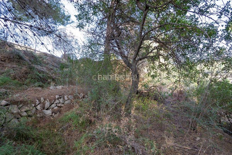 Foto ca6603eb-0cd4-4174-b0a5-ed1c7ab370c7. Casa a murtes 1 a Xaló Foto ca6603eb-0cd4-4174-b0a5-ed1c7ab370c7. Casa a murtes 1 a Xaló