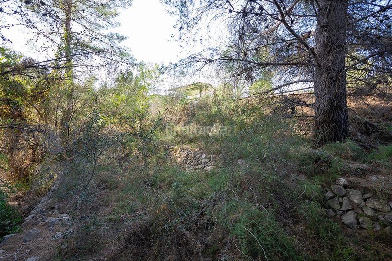 Foto e711a90e-e824-4ff7-af9b-954151419728. Casa a murtes 1 a Xaló Foto e711a90e-e824-4ff7-af9b-954151419728. Casa a murtes 1 a Xaló