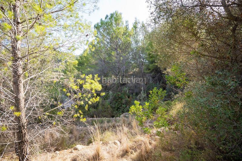 Foto eb7ac50b-ad43-4336-9b01-42367a19a4e0. Casa a murtes 1 a Xaló Foto eb7ac50b-ad43-4336-9b01-42367a19a4e0. Casa a murtes 1 a Xaló