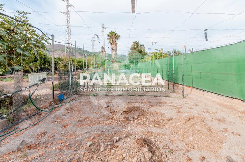 Foto 4b28fa99-4bba-4e9c-8dde-ecdacffc8a20. Mas avec parking dans Dalías Foto 4b28fa99-4bba-4e9c-8dde-ecdacffc8a20. Mas avec parking dans Dalías