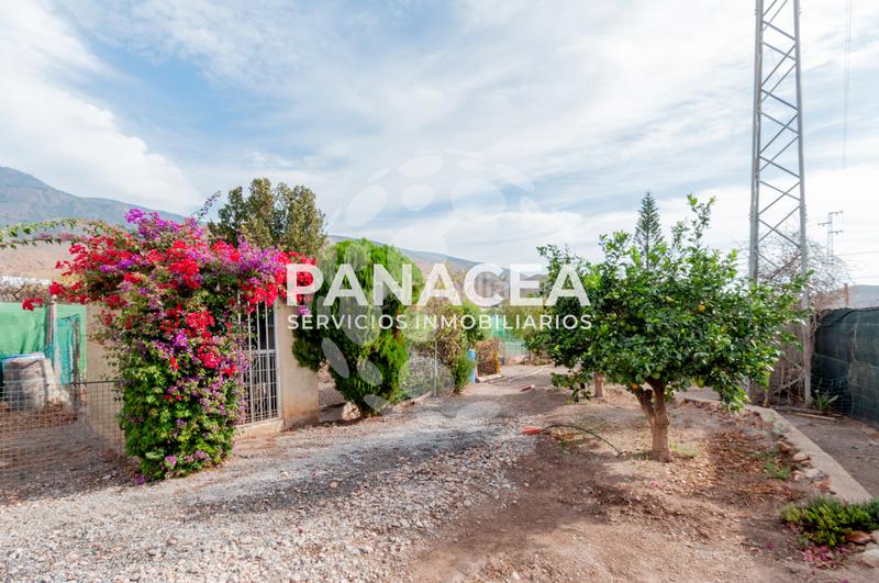 Foto 9b38ea91-19ff-445b-8ae4-6066f62d8251. Mas avec parking dans Dalías Foto 9b38ea91-19ff-445b-8ae4-6066f62d8251. Mas avec parking dans Dalías