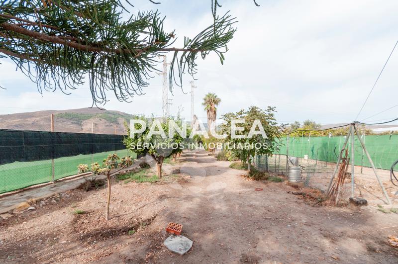 Foto af539103-c5a4-4a7e-b626-33fd0e57862c. Mas avec parking dans Dalías Foto af539103-c5a4-4a7e-b626-33fd0e57862c. Mas avec parking dans Dalías