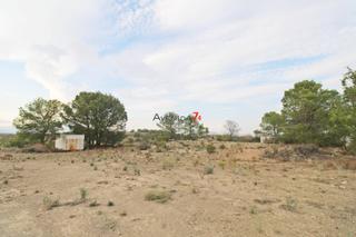 Fondo rustico in Ortillo. Parcela de 20.000m con agua y luz en lorca  ref 376 Fondo rustico in Ortillo. Parcela de 20.000m con agua y luz en lorca  ref 376