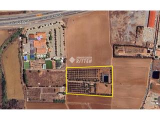 Fondo rustico  San ginés a. Finca rustica  en venta en el bealestrecho de san ginés  junto r Fondo rustico  San ginés a. Finca rustica  en venta en el bealestrecho de san ginés  junto r