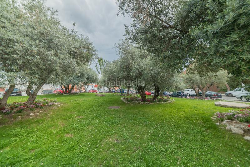 Foto c06a24a8-3ab5-4a76-85ed-f64d600906ef. Appartamento in calle mirasierra 1 in El Pijorro Navalcarnero Foto c06a24a8-3ab5-4a76-85ed-f64d600906ef. Appartamento in calle mirasierra 1 in El Pijorro Navalcarnero