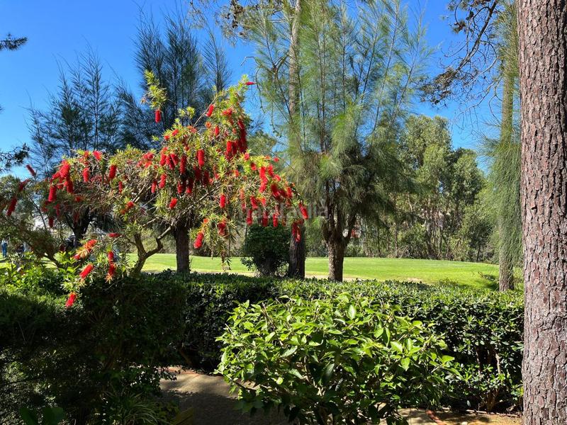 Foto 554948f5-0378-45db-85f1-b6790cafa3cc. Affitto casa con parcheggio in Islantilla golf Islantilla Foto 554948f5-0378-45db-85f1-b6790cafa3cc. Affitto casa con parcheggio in Islantilla golf Islantilla