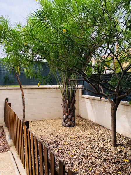 Foto 4160c3e9-5b7d-4845-9d00-4fffee3314ce. Casa en Pedanías Oeste Aspe Foto 4160c3e9-5b7d-4845-9d00-4fffee3314ce. Casa en Pedanías Oeste Aspe