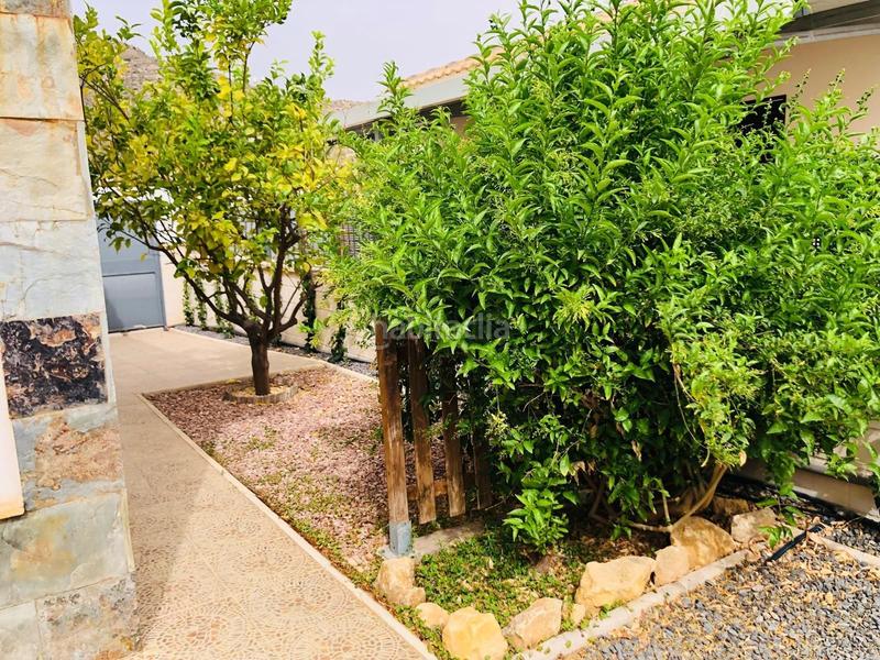 Foto 8194eb3a-55e6-4bc5-8234-d8dfcf2dd02c. Casa en Pedanías Oeste Aspe Foto 8194eb3a-55e6-4bc5-8234-d8dfcf2dd02c. Casa en Pedanías Oeste Aspe