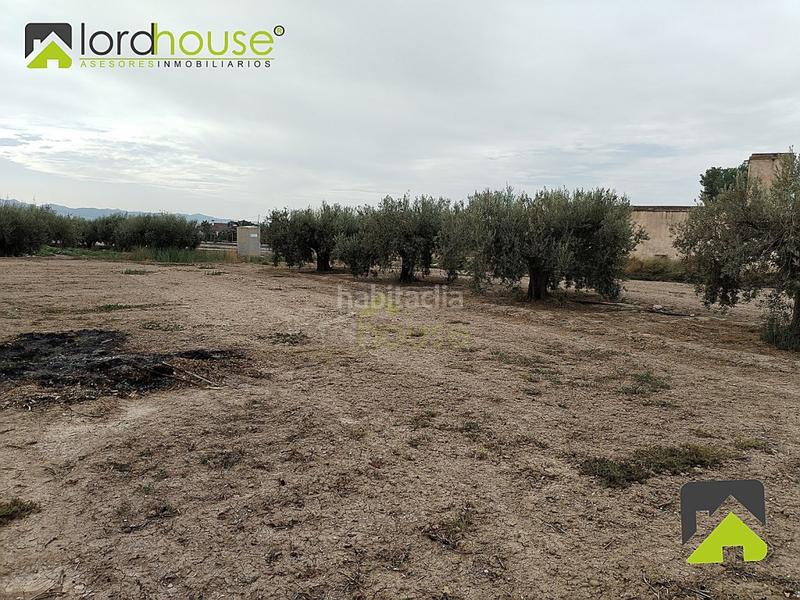 Foto 2ddaf1a2-3a40-43b7-b263-a9a8be45f8bd. Casa in Marchena Lorca Foto 2ddaf1a2-3a40-43b7-b263-a9a8be45f8bd. Casa in Marchena Lorca