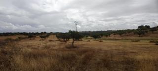 Propriété à Garrovillas. Finca rústica de 61900 m2 Propriété à Garrovillas. Finca rústica de 61900 m2