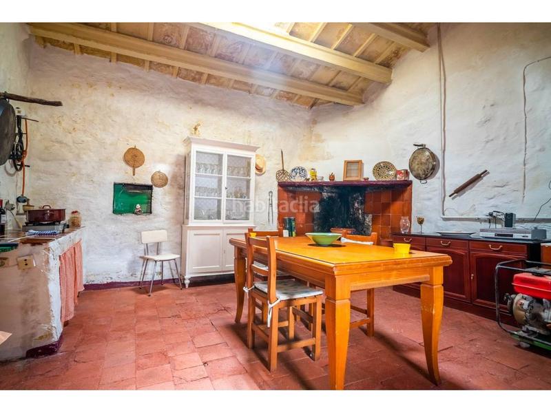 Foto 587311ed-7e89-4164-8891-c08b9bbaf681. Fondo rustico in Alaior poble Alaior Foto 587311ed-7e89-4164-8891-c08b9bbaf681. Fondo rustico in Alaior poble Alaior