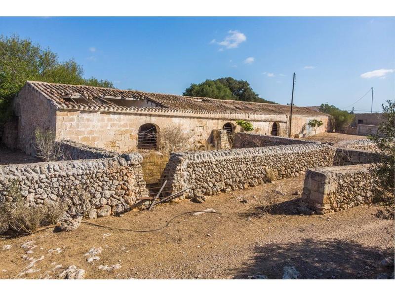 Foto 90fd3b10-1e4d-4ac4-9cf9-fef23b527f53. Fondo rustico in Alaior poble Alaior Foto 90fd3b10-1e4d-4ac4-9cf9-fef23b527f53. Fondo rustico in Alaior poble Alaior