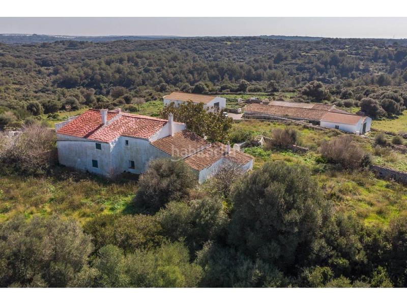 Foto 7c1cbc99-b9dd-4810-917b-164077281f86. Fondo rustico in Alaior poble Alaior Foto 7c1cbc99-b9dd-4810-917b-164077281f86. Fondo rustico in Alaior poble Alaior