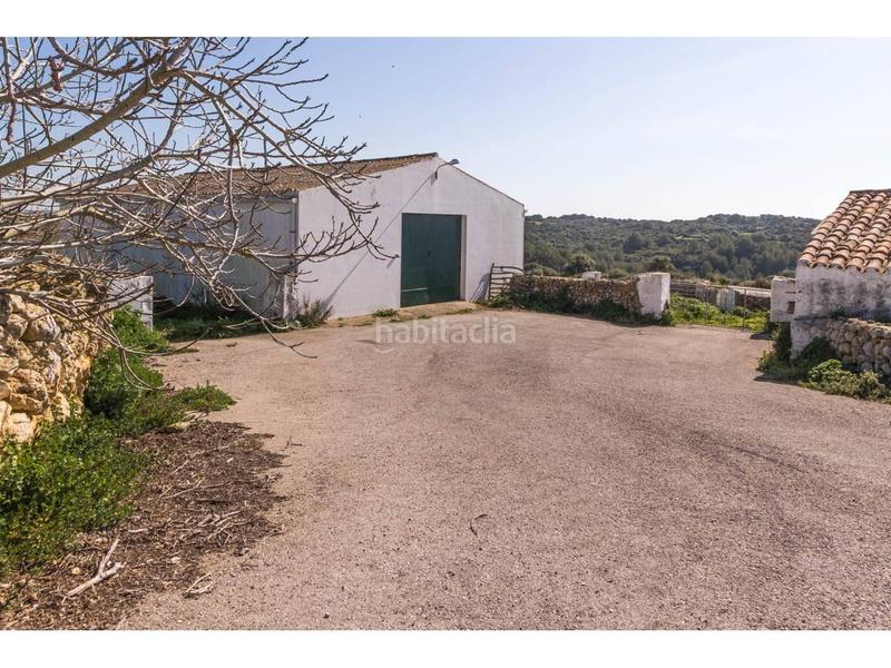 Foto bf3f9117-8b55-4758-9cb0-39fe85c3ed9d. Fondo rustico in Alaior poble Alaior Foto bf3f9117-8b55-4758-9cb0-39fe85c3ed9d. Fondo rustico in Alaior poble Alaior