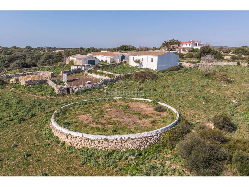 Foto f9714759-b51b-4904-8b69-e931bce56fe4. Fondo rustico in Alaior poble Alaior Foto f9714759-b51b-4904-8b69-e931bce56fe4. Fondo rustico in Alaior poble Alaior