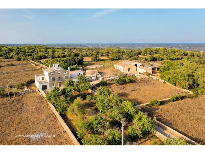 Foto 10af9fcf-f904-488b-9ee8-463be849e566. Fondo rustico in Alaior poble Alaior Foto 10af9fcf-f904-488b-9ee8-463be849e566. Fondo rustico in Alaior poble Alaior