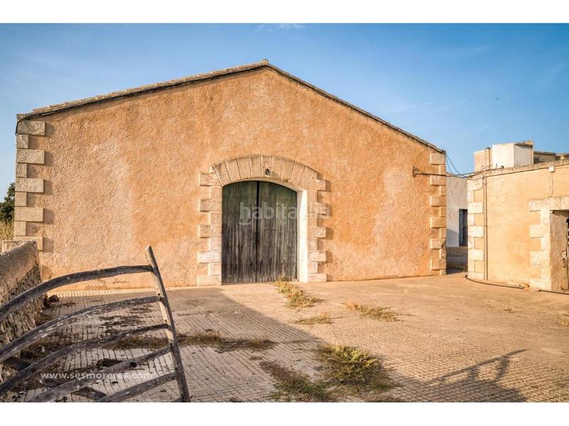 Foto 1e01e8fc-b804-4e98-aea9-970d4e7f9194. Fondo rustico in Alaior poble Alaior Foto 1e01e8fc-b804-4e98-aea9-970d4e7f9194. Fondo rustico in Alaior poble Alaior