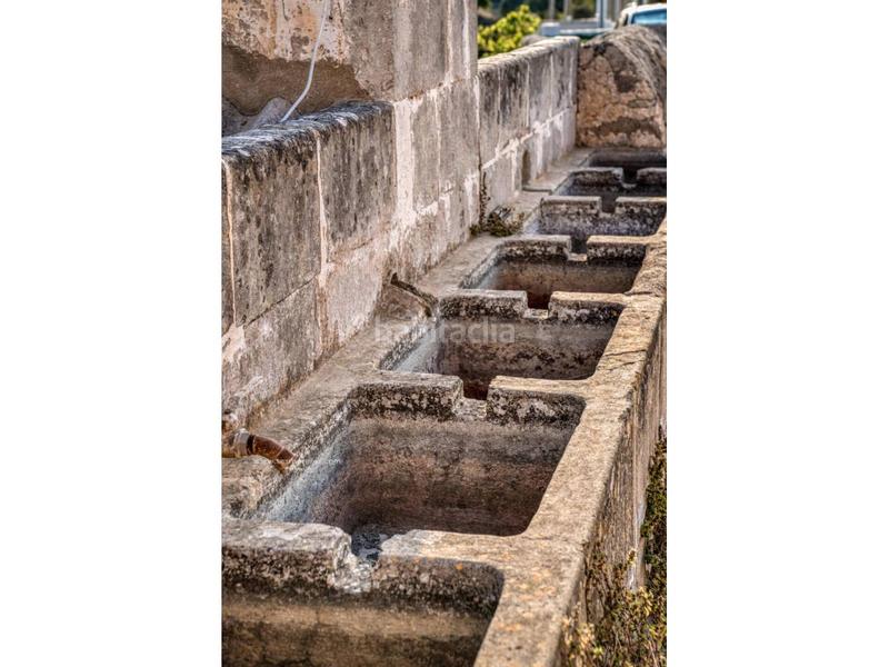 Foto 459867c0-c140-48fe-bdc7-7af429a533b0. Fondo rustico in Alaior poble Alaior Foto 459867c0-c140-48fe-bdc7-7af429a533b0. Fondo rustico in Alaior poble Alaior