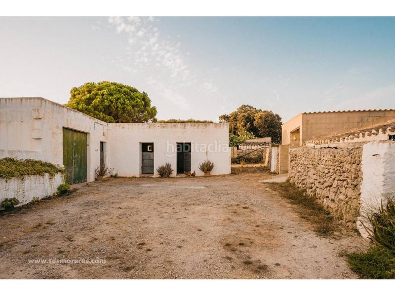 Foto 50f9a64d-edac-42b4-953e-fe3de1e00382. Fondo rustico in Alaior poble Alaior Foto 50f9a64d-edac-42b4-953e-fe3de1e00382. Fondo rustico in Alaior poble Alaior