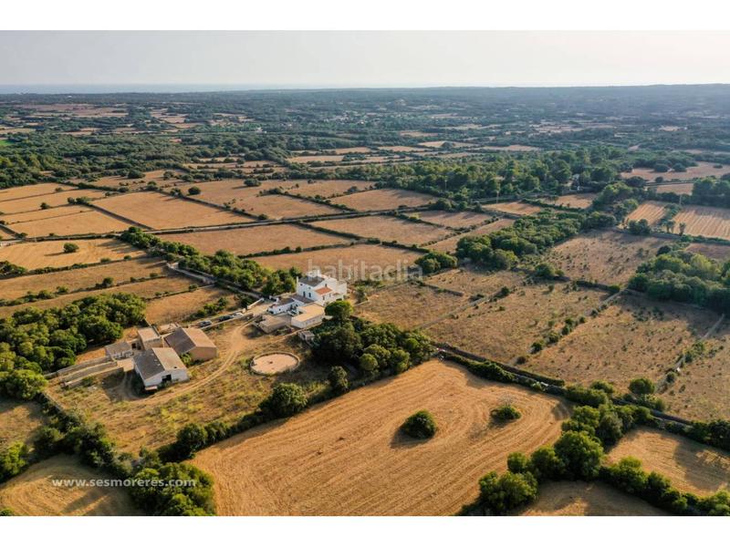 Foto 5275ac2e-61e4-4948-b439-a665220155c7. Fondo rustico in Alaior poble Alaior Foto 5275ac2e-61e4-4948-b439-a665220155c7. Fondo rustico in Alaior poble Alaior