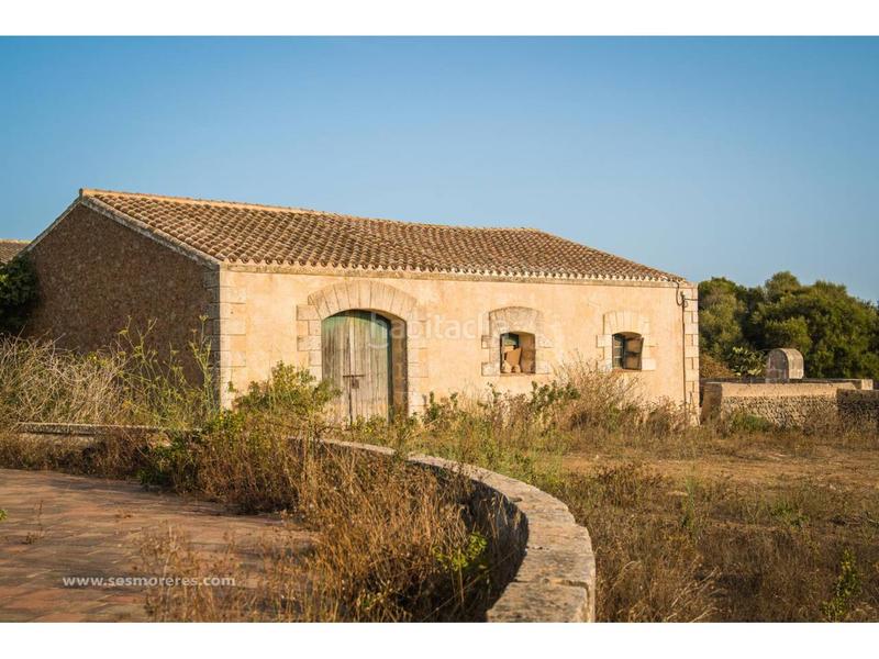 Foto 52c05407-bb5f-4e71-b026-de067068090f. Fondo rustico in Alaior poble Alaior Foto 52c05407-bb5f-4e71-b026-de067068090f. Fondo rustico in Alaior poble Alaior