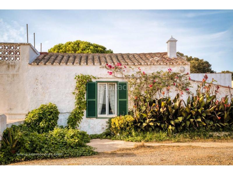 Foto 530e0e1d-00e9-4293-a33a-673579ff9412. Fondo rustico in Alaior poble Alaior Foto 530e0e1d-00e9-4293-a33a-673579ff9412. Fondo rustico in Alaior poble Alaior