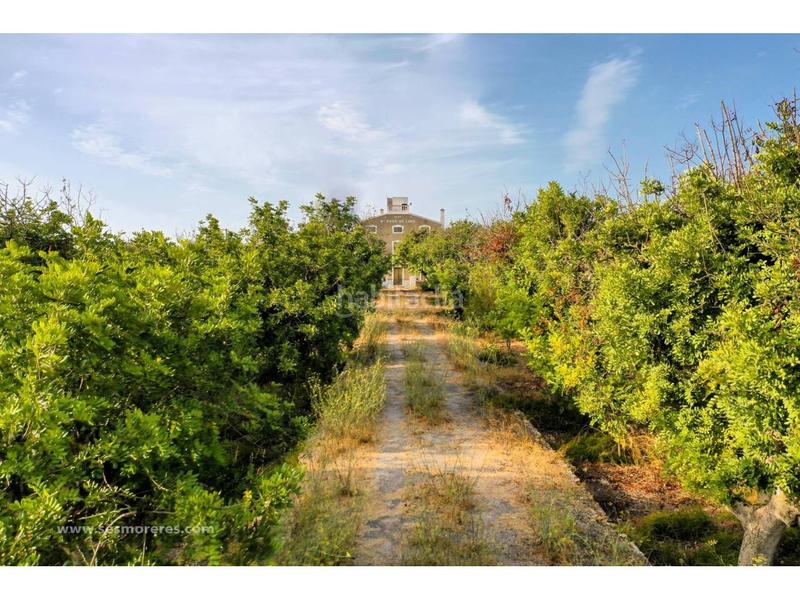 Foto 71c2d2a2-2ee9-43cf-a73b-63186150bfa8. Fondo rustico in Alaior poble Alaior Foto 71c2d2a2-2ee9-43cf-a73b-63186150bfa8. Fondo rustico in Alaior poble Alaior