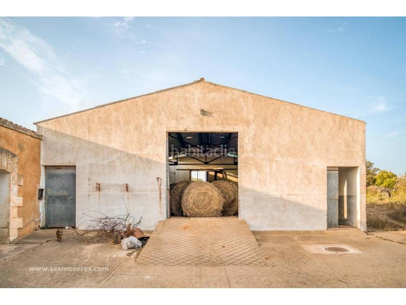 Foto 72c63d86-33e5-45ca-b8d2-a5263d972237. Fondo rustico in Alaior poble Alaior Foto 72c63d86-33e5-45ca-b8d2-a5263d972237. Fondo rustico in Alaior poble Alaior