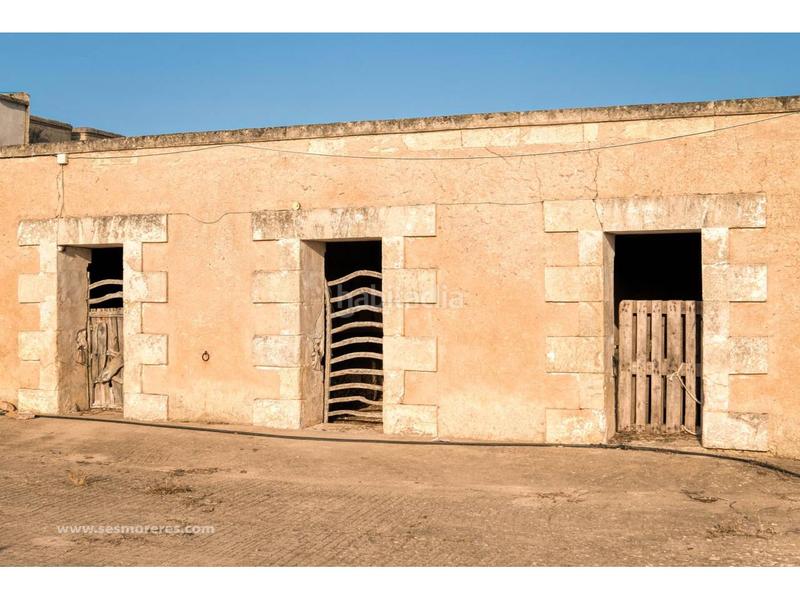 Foto 7b8af185-a96c-4f09-8398-83a99b4f22a3. Fondo rustico in Alaior poble Alaior Foto 7b8af185-a96c-4f09-8398-83a99b4f22a3. Fondo rustico in Alaior poble Alaior