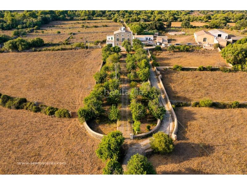 Foto 90543485-eeca-4387-aeaf-769294df46cc. Fondo rustico in Alaior poble Alaior Foto 90543485-eeca-4387-aeaf-769294df46cc. Fondo rustico in Alaior poble Alaior