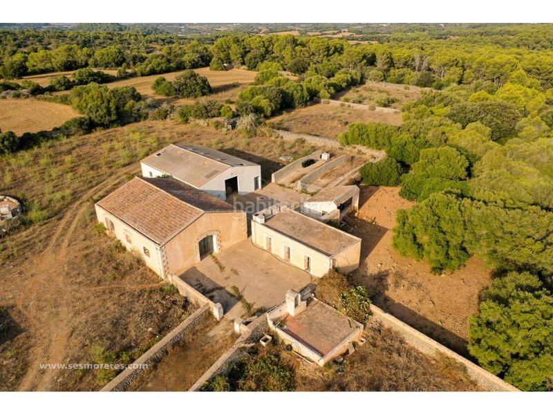 Foto b65ca384-c60f-490e-a4ae-bf254dd5e8a9. Fondo rustico in Alaior poble Alaior Foto b65ca384-c60f-490e-a4ae-bf254dd5e8a9. Fondo rustico in Alaior poble Alaior